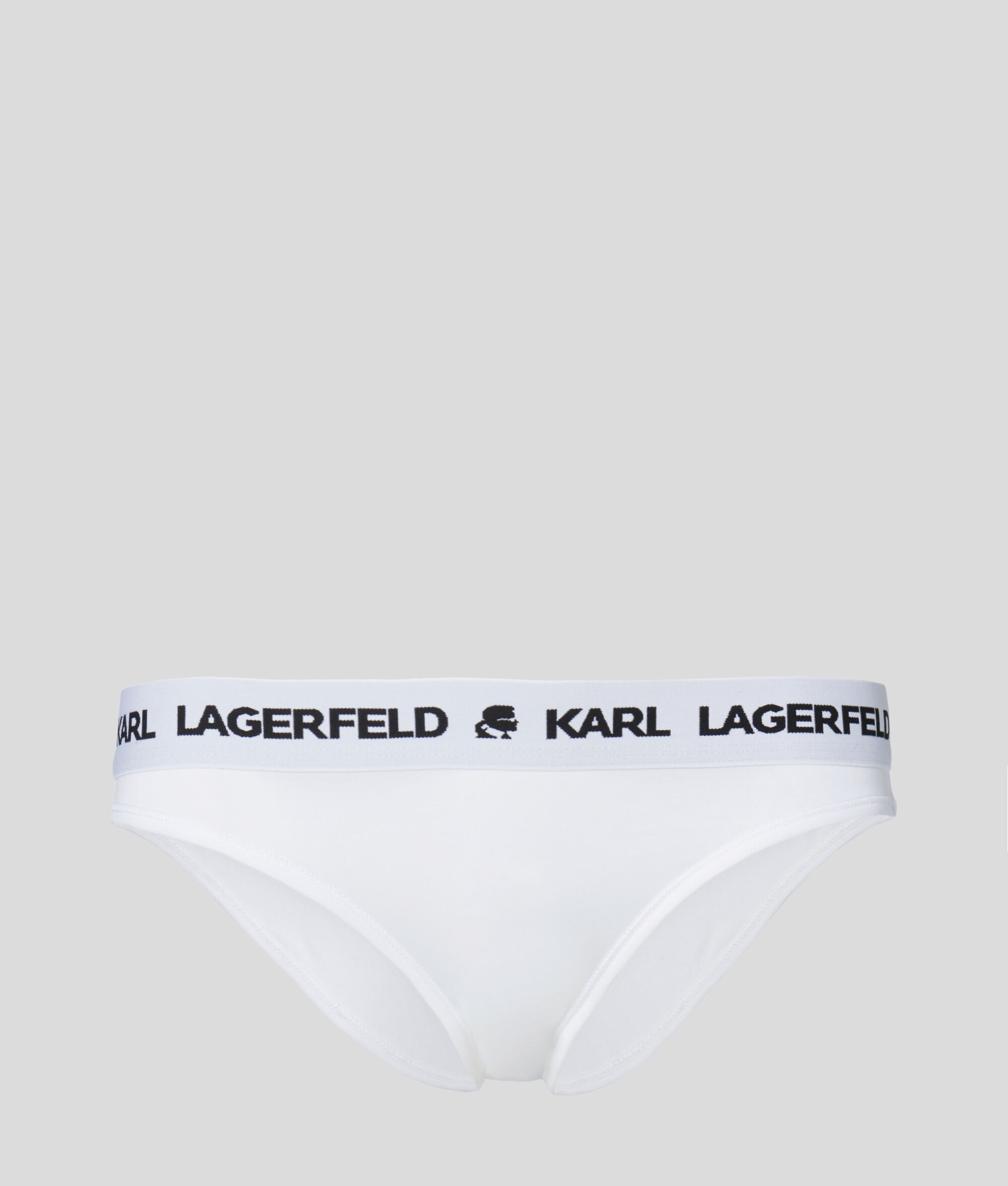 (image for) Well-Designed LOGO BRIEFS